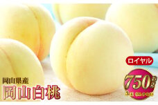 岡山白桃 ロイヤル 3玉×約250g（2Lサイズ） 計約750g 岡山県産【2025年7月上旬～8月下旬発送予定】 白桃 桃 もも モモ