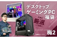 何が届くかお楽しみ！ デスクトップ ゲーミング PC 福袋 ”梅2” 1台  おまかせ Windows11 Windows Gaming パソコン 岡山県 奈義町