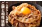 タレ漬け 牛カルビ 250g×2パック （計500g）