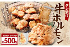 タレ漬け 牛ホルモン 250g×2パック （計500g） 牛肉 牛 お肉 肉 たれ タレ ホルモン 焼き肉 焼肉 小分け 冷凍