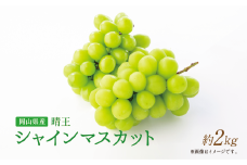 【岡山県産】晴王 シャインマスカット 約2.0kg以上 【2025年9月上旬〜11月下旬発送予定】 マスカット ぶどう ブドウ 葡萄