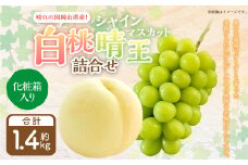 詰合 白桃 2玉 （1玉220g以上） シャインマスカット晴王 2房 （1房480g以上） 化粧箱入り 【2025年7月下旬～8月上旬迄発送予定】 果物 くだもの フルーツ 桃 もも モモ ぶどう ブドウ 葡萄 マスカット 詰合せ 詰め合わせ 岡山 おかやま 国産 冷蔵