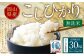 【3ヶ月定期便】【令和7年産】〈無洗米〉岡山県産こしひかり10kg（5kg×2袋）