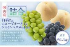 詰合／ 白桃 2玉（1玉220g以上）・ ニューピオーネ 1房（480g以上）・ シャインマスカット 1房（ 晴王 ・480g以上） 合計約1.2kg以上 化粧箱入り 【2026年7月下旬～8月上旬迄発送予定】 桃 もも 葡萄 ブドウ ぶどう フルーツ 果物 ギフト 国産 岡山県産