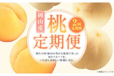 【2回定期便】 桃 （白桃・黄金桃）【2026年7月上旬より順次発送開始】 もも フルーツ 果物 くだもの ギフト 白桃 黄金桃 国産 岡山県産