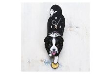 D-66F1 ボーダーコリー-犬の振り子時計花01.ORANGE C-CD-066A