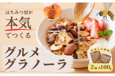 グラノーラ 無添加 国産はちみつ使用【ノラノーラ ミケ&クロ】 ココナッツ・ショコラ 食べ比べセット(100g×2) A-MT-A05A