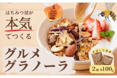 グラノーラ 無添加 国産はちみつ使用【ノラノーラ ミケ&クロ】 ココナッツ・ショコラ 食べ比べセット(100g×2) A-MT-A05A
