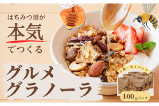 グラノーラ 無添加 国産はちみつ使用 【ノラノーラ ミケ&クロ】ココナッツ・ショコラ ギフト包装 6袋セット（100g×6） A-MT-A06A