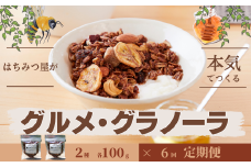 【6回定期便】グラノーラ 無添加 国産はちみつ使用【ノラノーラ ミケ&クロ】ココナッツ・ショコラ（小）2袋セット（100g×2） A-MT-C01A