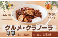 【6回定期便】グラノーラ 無添加 国産はちみつ使用【ノラノーラ ミケ&クロ】ココナッツ・ショコラ（大）2袋セット（250g×2） A-MT-C02A