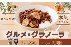 【6回定期便】グラノーラ 無添加 国産はちみつ使用【ノラノーラ ミケ&クロ】ココナッツ・ショコラ（大）2袋セット（250g×2） A-MT-C02A