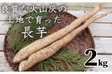 山芋(長芋) 2kg 西粟倉特産【数量限定】 c-FI-A02A