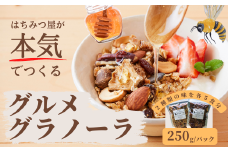 グラノーラ 無添加 国産はちみつ使用 【ノラノーラ ミケ&クロ】ココナッツ・ショコラ 簡易包装 2個セット（250g×2)_A-MT-A17A
