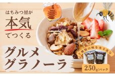 グラノーラ 無添加 国産はちみつ使用 【ノラノーラ ミケ&クロ】ココナッツ・ショコラ 簡易包装 2個セット（250g×2)_A-MT-A17A