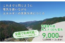 電気料金 （3,000円×3ヶ月分） 百森でんき CO2フリー 地域電力 お礼の電気 脱炭素 ゼロカーボン 岡山県 西粟倉村 【まずは寄付のお申し込みを！】 e-vv-A01D