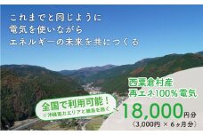 電気料金 （3,000円✕6ヶ月分） 百森でんき CO2フリー 地域電力 お礼の電気 脱炭素 ゼロカーボン 岡山県 西粟倉村 【まずは寄付のお申し込みを！】 e-vv-A02D