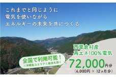 電気料金 （6,000円✕12ヶ月分） 百森でんき CO2フリー 地域電力 お礼の電気 脱炭素 ゼロカーボン 岡山県 西粟倉村 【まずは寄付のお申し込みを！】e-vv-A05D