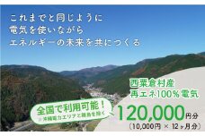 電気料金 （10,000円✕12ヶ月分） 百森でんき CO2フリー 地域電力 お礼の電気 脱炭素 ゼロカーボン 岡山県 西粟倉村 【まずは寄付のお申し込みを！】e-vv-A07D