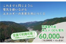 電気料金 （10,000円✕6ヶ月分） 百森でんき CO2フリー 地域電力 お礼の電気 脱炭素 ゼロカーボン 岡山県 西粟倉村 【まずは寄付のお申し込みを！】e-vv-A06D