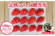 西粟倉村 完熟いちご 贈答用 400g M-FI-A15A