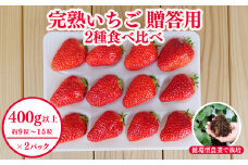 西粟倉村 完熟いちご 贈答用  2種 800g(400g×2) 食べ比べセット M-FI-A07A