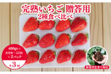 【3回定期便】西粟倉村の完熟いちご 2種 800g 食べ比べセット M-FI-B05A