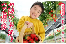 完熟いちご狩り ペア招待券_BASE101% NISHIAWAKURA  M-zz-A06A