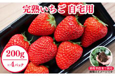西粟倉村 完熟いちご 自宅用 800g(200g×4) M-FI-A11A