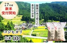 《令和7年産新米受付開始》　白米 10kg 令和7年産 コシヒカリ 岡山 「おおがや米」生産組合 G-ag-AEFA