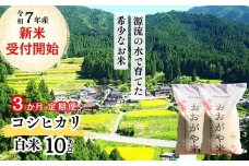 《令和7年産新米受付開始》【3回定期便】白米 10kg 令和7年産 コシヒカリ 岡山 「おおがや米」生産組合 G-ag-BEFA