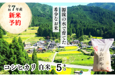 白米 5kg 令和7年産 コシヒカリ 岡山 「おおがや米」生産組合 G-af-AEEA