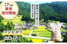《令和7年産新米受付開始》白米 5kg 令和7年産 コシヒカリ 岡山 「おおがや米」生産組合 G-af-AEFA