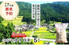 【3回定期便】白米 5kg 令和7年産 コシヒカリ 岡山 「おおがや米」生産組合 G-af-BEEA