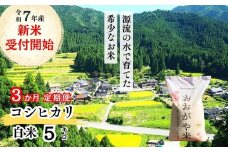 《令和7年産新米受付開始》【3回定期便】白米 5kg 令和7年産 コシヒカリ 岡山 「おおがや米」生産組合 G-af-BEFA