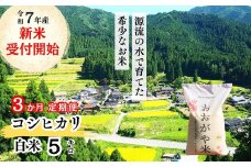 《令和7年産新米受付開始》【3回定期便】白米 5kg 令和7年産 コシヒカリ 岡山 「おおがや米」生産組合 G-af-BEFA