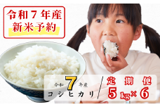 《令和7年産新米予約・10月ごろよりお届け開始》【6回定期便】白米 5kg 令和7年産 コシヒカリ 岡山 あわくら源流米K-af-CEEA