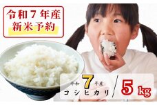 《令和7年産新米予約・10月ごろよりお届け開始》白米 5kg 令和7年産 コシヒカリ 岡山 あわくら源流米 K-af-AEEA