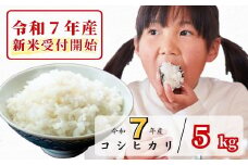 《令和7年産新米受付開始》白米 5kg 令和7年産 コシヒカリ 岡山 あわくら源流米 K-af-AEFA