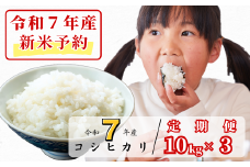 《令和7年産新米予約・10月ごろよりお届け開始》【3回定期便】白米 10kg 令和7年産 コシヒカリ 岡山 あわくら源流米 K-ag-BEEA
