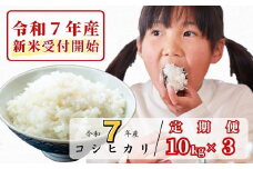 《令和7年産新米受付開始》【3回定期便】白米 10kg 令和7年産 コシヒカリ 岡山 あわくら源流米 K-ag-BEFA