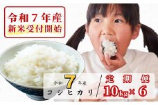 《令和7年産新米受付開始》【6回定期便】白米 10kg 令和7年産 コシヒカリ 岡山 あわくら源流米 K-ag-CEFA