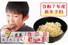 《令和7年産新米予約・10月ごろよりお届け開始》【3回定期便】玄米 5kg 令和7年産 あきたこまち 岡山 あわくら源流米 K-bb-BEEA