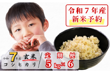 《令和7年産新米予約・10月ごろよりお届け開始》【6回定期便】玄米 5kg 令和7年産 コシヒカリ 岡山 あわくら源流米 K-ab-CEEA