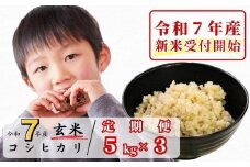《令和7年産新米受付開始》【3回定期便】玄米 5kg 令和7年産 コシヒカリ 岡山 あわくら源流米 K-ab-BEFA