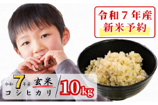 《令和7年産新米予約・10月ごろよりお届け開始》玄米 10kg 令和7年産 コシヒカリ 岡山 あわくら源流米 K-ac-AEEA