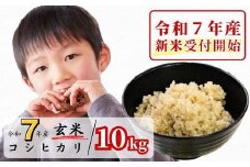 《令和7年産新米受付開始》玄米 10kg 令和7年産 コシヒカリ 岡山 あわくら源流米 K-ac-AEFA