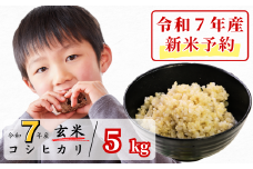 《令和7年産新米予約・10月ごろよりお届け開始》玄米 5kg 令和7年産 コシヒカリ 岡山 あわくら源流米 K-ab-AEEA