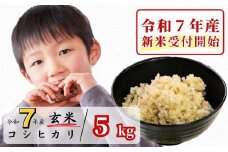 《令和7年産新米受付開始》玄米 5kg 令和7年産 コシヒカリ 岡山 あわくら源流米 K-ab-AEFA