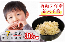 《令和7年産新米予約・10月ごろよりお届け開始》玄米 30kg 令和7年産 コシヒカリ 岡山 あわくら源流米 K-ad-AEEA